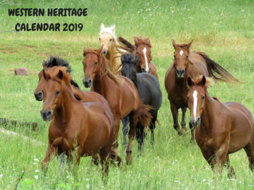 Western Heritage 2019 Calendar